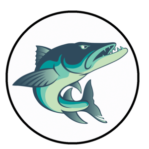 Barracuda Swim Class logo