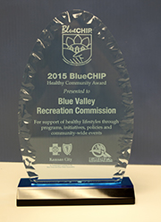 picture of acrylic award