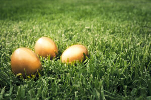 Three golden eggs lay in the grass.
